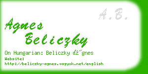 agnes beliczky business card